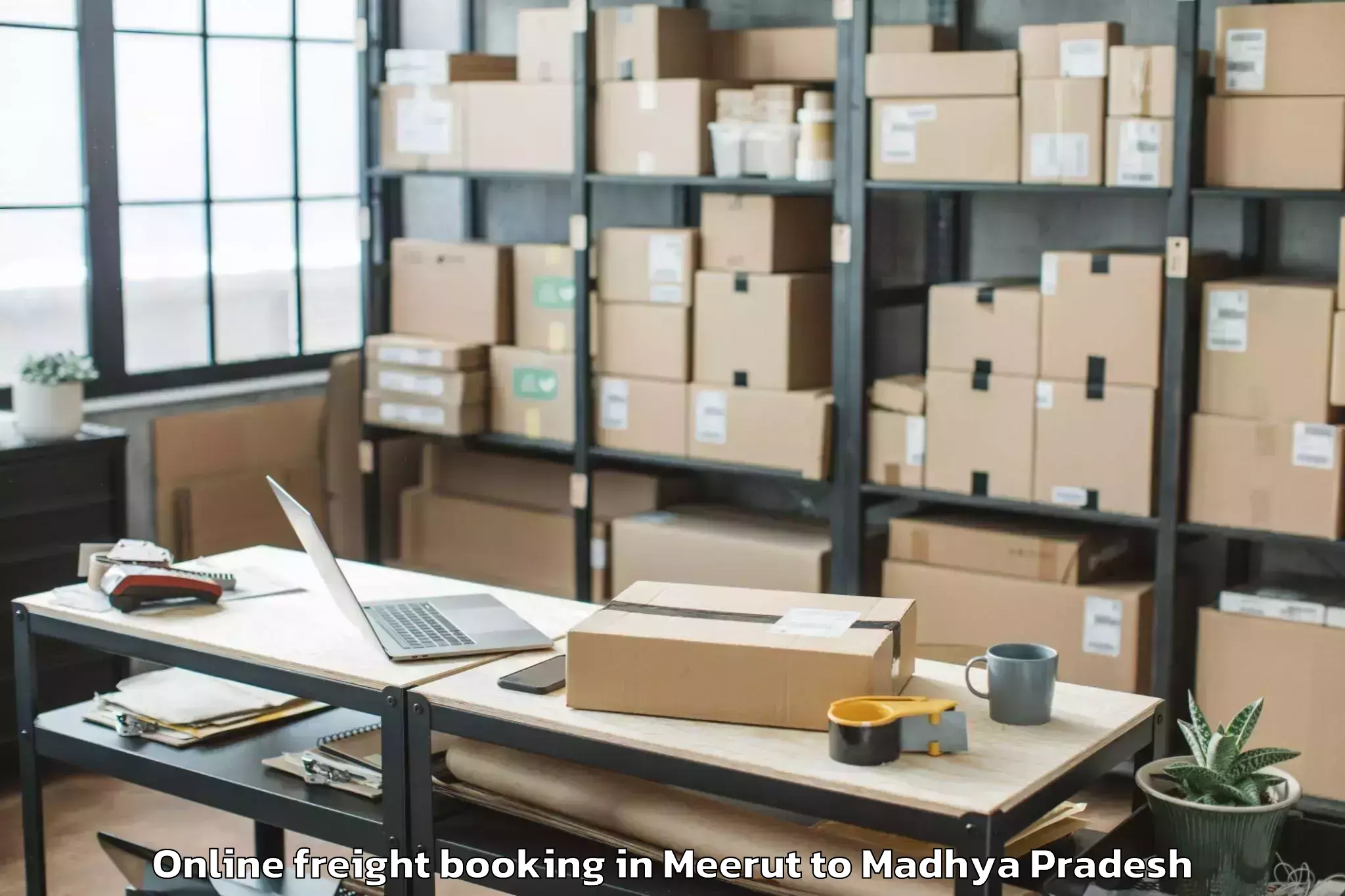 Easy Meerut to Petlawad Online Freight Booking Booking